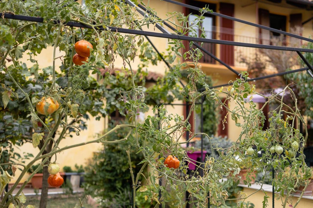 La Valle B&B Асти Экстерьер фото